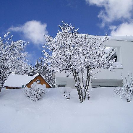 Apartment Willmann By Interhome Eisenbach  Exterior foto